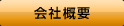 �Z���`�����[21��{�s���Y�@��ЊT�v